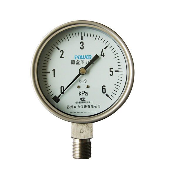 Diaphragm Pressure Gauge